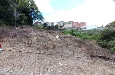 Terreno à venda no Desvio Rizzo, Caxias do Sul 