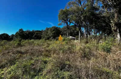 Terreno à venda no bairro ana rech - caxias do sul/rs