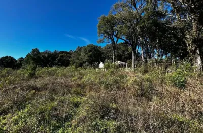 Terreno à venda na Ana Rech, Caxias do Sul 
