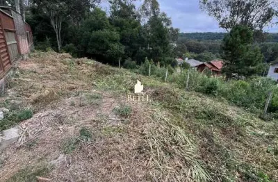 Terreno à venda no Vinhedos, Caxias do Sul 