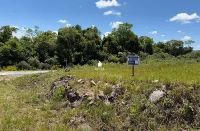 Terreno à venda no São Giácomo, Caxias do Sul 