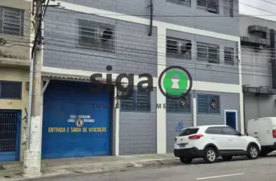 Barracão / Galpão / Depósito para alugar na Rua João Alfredo, 64, Santo Amaro, São Paulo