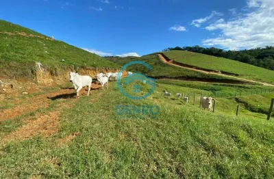 Fazenda documentada e com terreno de 103 hectares à venda em são joão batista/sc