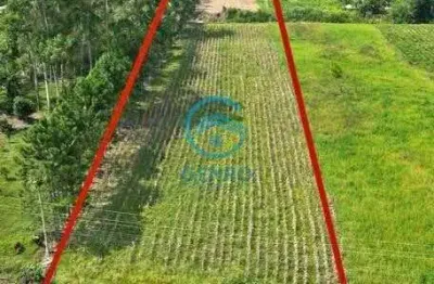 Área para sítio com riacho e terreno de 20.000m² ( 02 hectares ) à venda em canelinha/sc