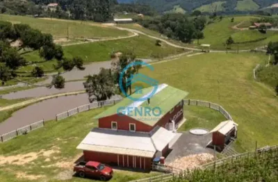 Sítio na serra catarinense com lagoas e terreno de 65.000m² ( 6.5 hectares ) à venda em alfredo wagner/sc