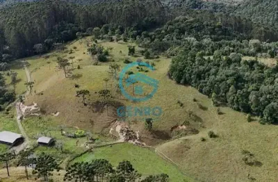 Fazenda com lagoas, cachoeiras e terreno de 860.000 ( 86 hectares ) à venda em bom retiro/sc