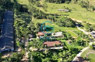 Fazenda com galpão aviário para 32.000 aves e terreno de 66 hectares à venda em tijucas/sc