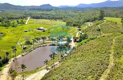 Sítio haras em meio a natureza com lagoa e terreno de 140.000m² ( 14 hectares ) à venda em tijucas/sc