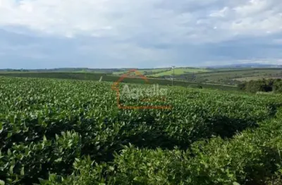 Sítio com 8 alqueires á venda no distrito martinho prado junior - mogi guaçu-sp.