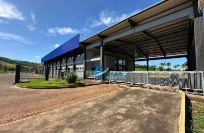 Barracão industrial para alugar com 20.000 m² - conjunto habitacional jamile dequech - londrina/pr