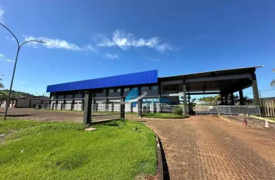 Barracão / galpão para alugar com 6000 m² - conjunto habitacional jamile dequech - londrina/pr