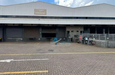 Barracão para alugar com docas, 1255 m² - Centro Logistico Londrina