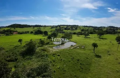 Fazenda à venda no Setor Central, Anicuns 