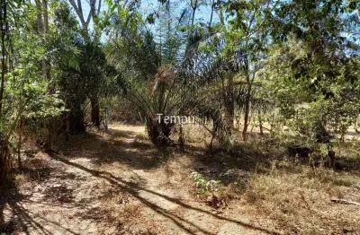 Fazenda à venda no Centro, Heitoraí 