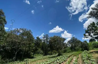 Chácara / sítio com 3 quartos à venda na Área Rural, sn, Centro, Amparo