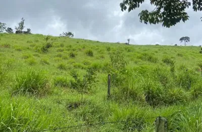 Chácara / sítio com 7 quartos à venda na Área Rural, 1, Área Rural de Amparo, Amparo