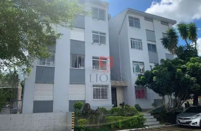 Apartamento com 2 dormitórios à venda, 48 m² por r$ 255.500,00 - salgado filho - gravataí/rs