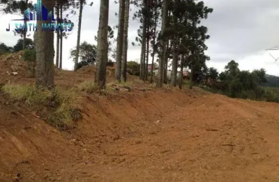 Área 2.740m² (zis) próx. ao centro de cotia (km 32 rap. tavares) p/ mcmv