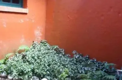 Casa para venda - 252m², 3 dormitórios, 2 vagas - ipanema