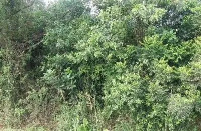 Terreno à venda na Avenida João Antônio Silveira, 924, Restinga, Porto Alegre