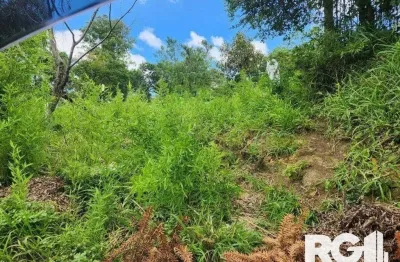 Terreno à venda na Rua João do Couto, 401, Belém Velho, Porto Alegre