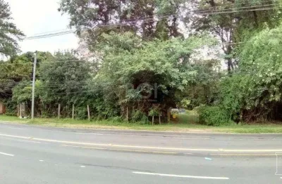 Terreno à venda na Avenida Coronel Marcos, 791, Pedra Redonda, Porto Alegre