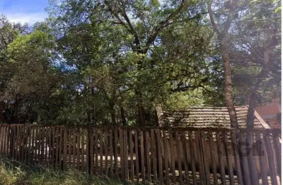 Terreno à venda na Estrada Luís Pinto de Barcelos, 2772, Lomba do Pinheiro, Viamão