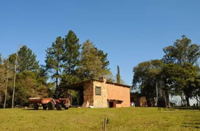 Chácara / sítio com 3 quartos à venda na Estrada da Estancia Grande, 500, Estância Grande, Viamão