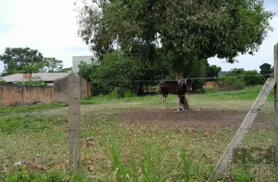 Terreno à venda na Rua Oito Mil e Dezessete, 13, Lageado, Porto Alegre