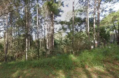 Terreno à venda na Estrada Maria Altina, 545, Hípica, Porto Alegre