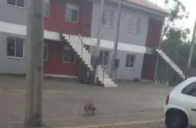 Apartamento com 2 quartos à venda na Estrada Barro Vermelho, 201, Restinga, Porto Alegre