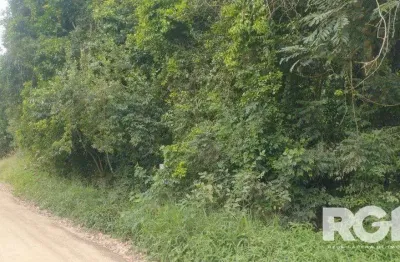 Terreno à venda na Rua Maurício Sirotski Sobrinho, 1002, Fiuza, Viamão