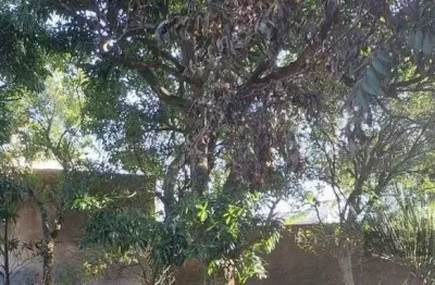 Terreno à venda na Rua Silveiro, 1423, Menino Deus, Porto Alegre