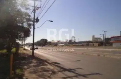 Terreno à venda na Rodovia BR-116, 1041, Novo Esteio, Esteio