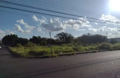 Terreno à venda na Rua Silvério Manoel da Silva, 538, Vila Princesa Izabel, Cachoeirinha