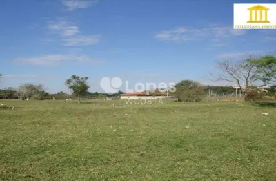 Terreno residencial à venda, vila hollândia, campinas-sp.