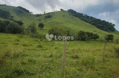 Fazenda à venda no Centro, Cambuí 