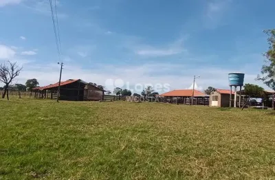 Fazenda à venda no Setor Central, Quirinópolis 