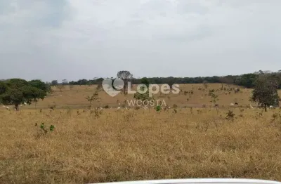 Fazenda à venda no Jardim Primavera, Carneirinho 