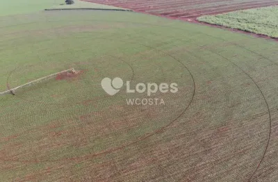 Fazenda à venda no Centro, Conceição das Alagoas 