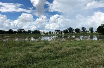 Fazenda à venda no Centro, Janaúba 