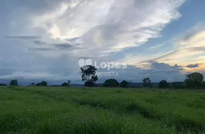 Fazenda à venda no Centro, Gurinhatã 