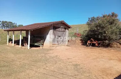 Fazenda à venda no Centro, Bueno Brandão 