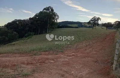 Fazenda à venda no Centro, Bueno Brandão 