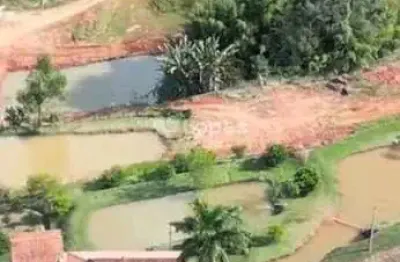 Fazenda à venda no Centro, Muzambinho 
