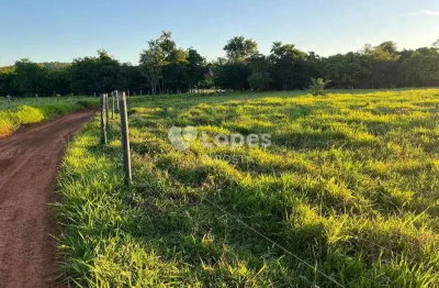 Fazenda à venda no Centro, Frutal 