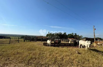 Fazenda à venda no Centro, Santa Vitória 