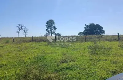 Fazenda à venda no Setor Central, Itarumã 