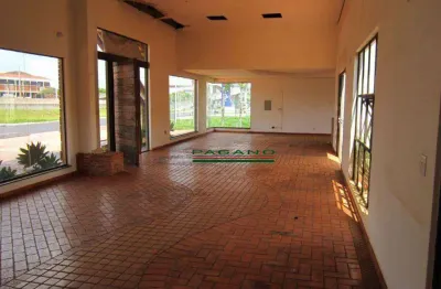 Salão para alugar, 600 m² por r$ 30.000,00/mês - lagoinha - ribeirão preto/sp