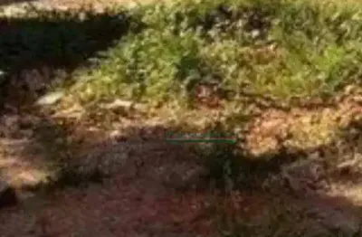 Terreno à venda, 759 m² por R$ 1.600.000,00 - Campos Elíseos - Ribeirão Preto/SP